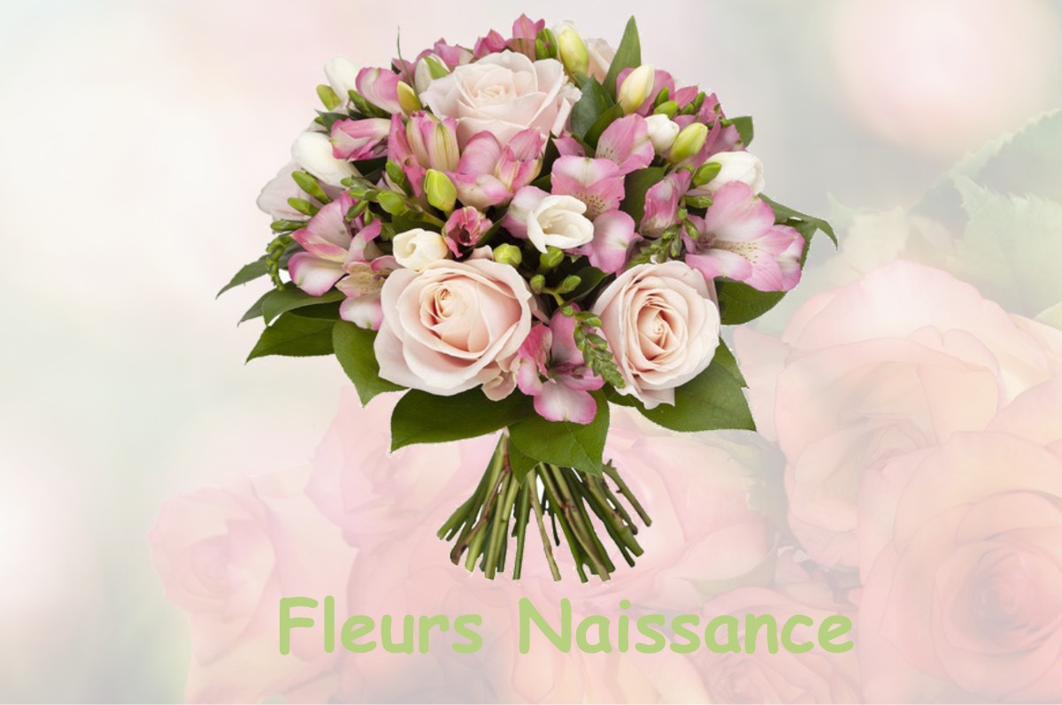 fleurs naissance LE-COUDRAY-SAINT-GERMER