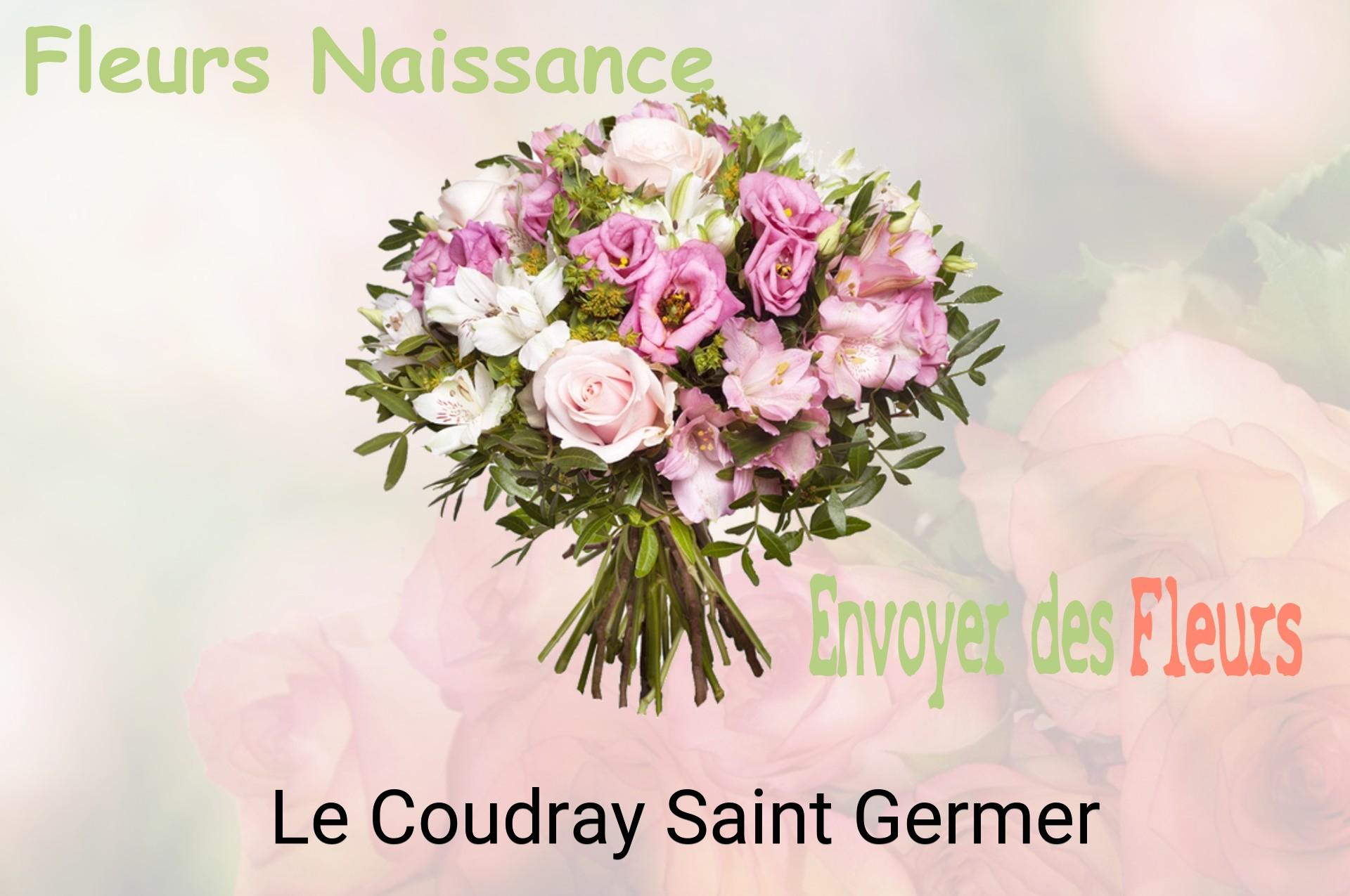 Bouquet de fleurs de naissance livré à Le Coudray-Saint-Germer